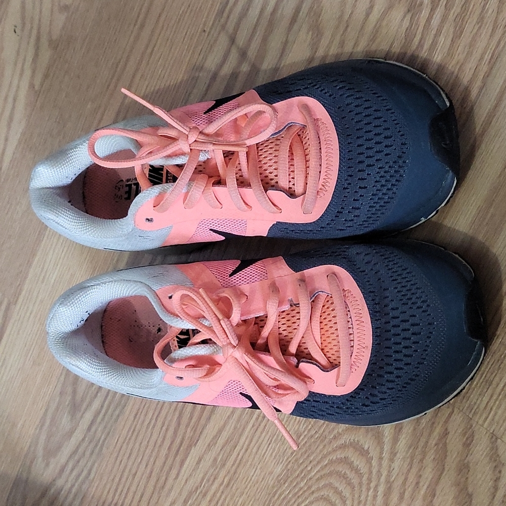 Nike pegasus 30